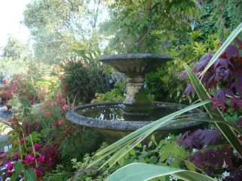 Arbustes d’ornement – Pépinières Rouberty La Rochelle