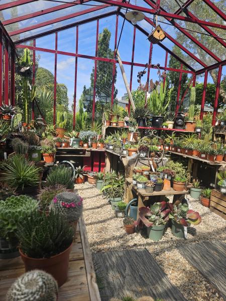 Politique de confidentialité