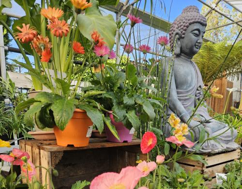 Découvrez les articles, reportages et publications de presse sur Pépinières Rouberty : actualités, témoignages, parutions locales et spécialisées autour du jardin, des plantes et de nos services. Suivez notre actualité & engagements.