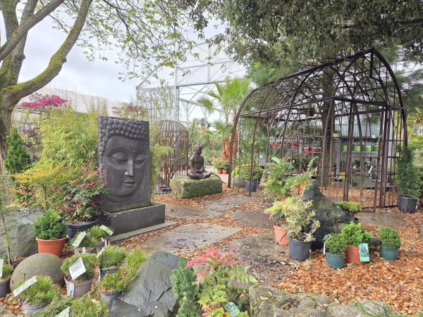 Pépinière La Rochelle  Pépinière Charente-Maritime  Plantes La Rochelle  Arbres La Rochelle  Pépinière près de La Rochelle  Jardiner La Rochelle  Plantes climat maritime Elles accueillent particuliers et professionnels à proximité de La Rochelle, Île de R