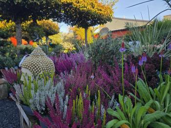 Plantations d’automne : préparez votre jardin avec les Pépinières Rouberty