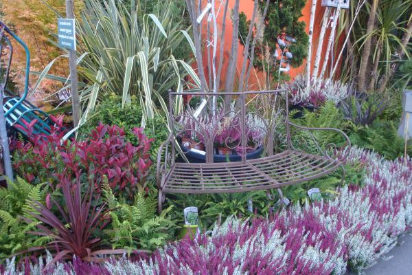 Proche de La Rochelle, l'Ile de Ré, Chatélaillon plage, Fouras et Rochefort, les pépinières Rouberty à Dompierre sur mer vous proposesnt des végétaux plantes, arbres, arbustes, fleurs, semences, poterie ... 